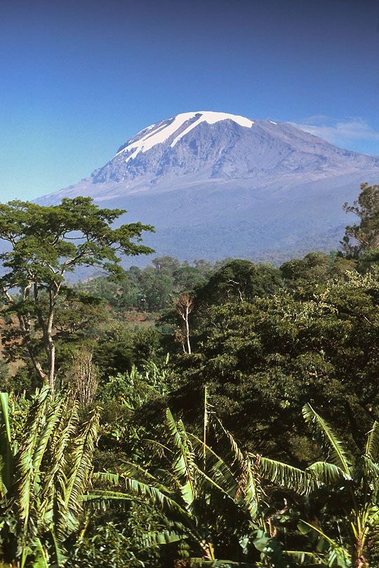 Traditionally the Chagga live on forested <p>southern and eastern slopes of Mount Kilimanjaro.