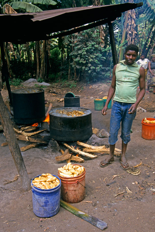 Brewing “Pombe” the traditional banana beer <p>made from millet, bananas and the bark<p> of the Msesewe tree which helps fermentation.