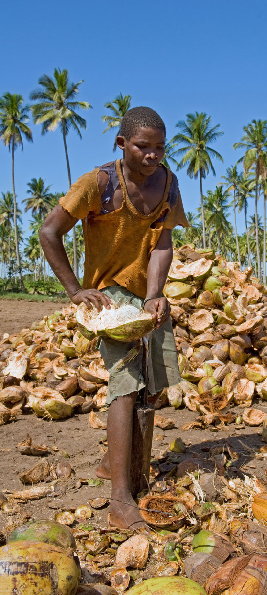 A worker dehusks the coconuts<p> by hand to extract the shell.