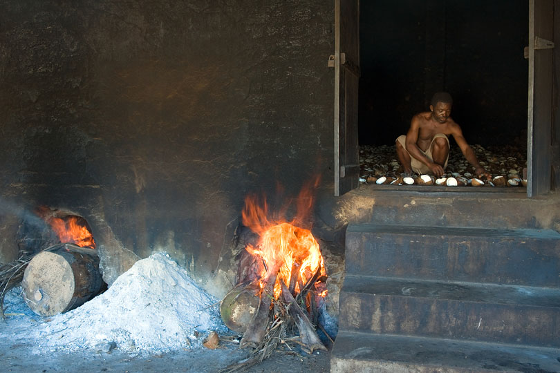 The shells are dried in a <p>hot kiln to create copra.