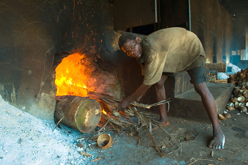 Palm logs are burnt to heat<p> the kiln from underneath.