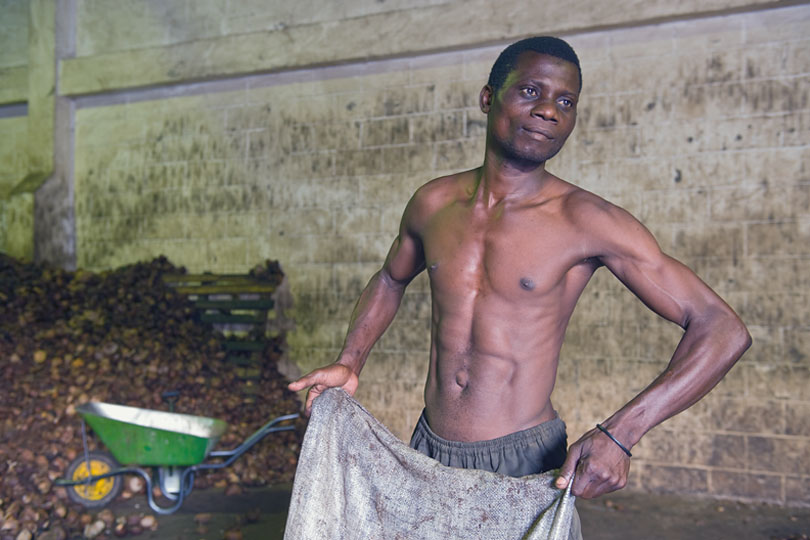 A worker in the factory empties <p>the bags with copra into …