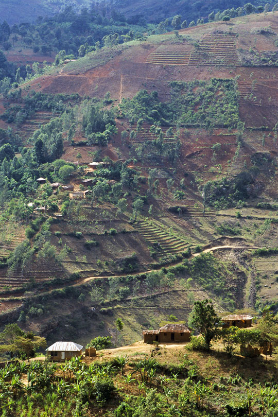 Contour lines to control soil erosion, <p>Usambara Mountains, Tanzania