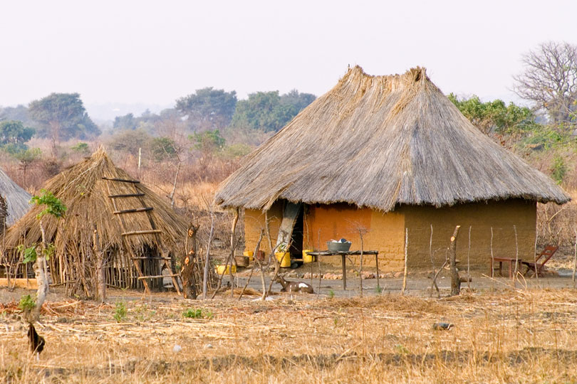 The smallholder sector offers the greatest potential <p>for the improvement of milk production in Zambia