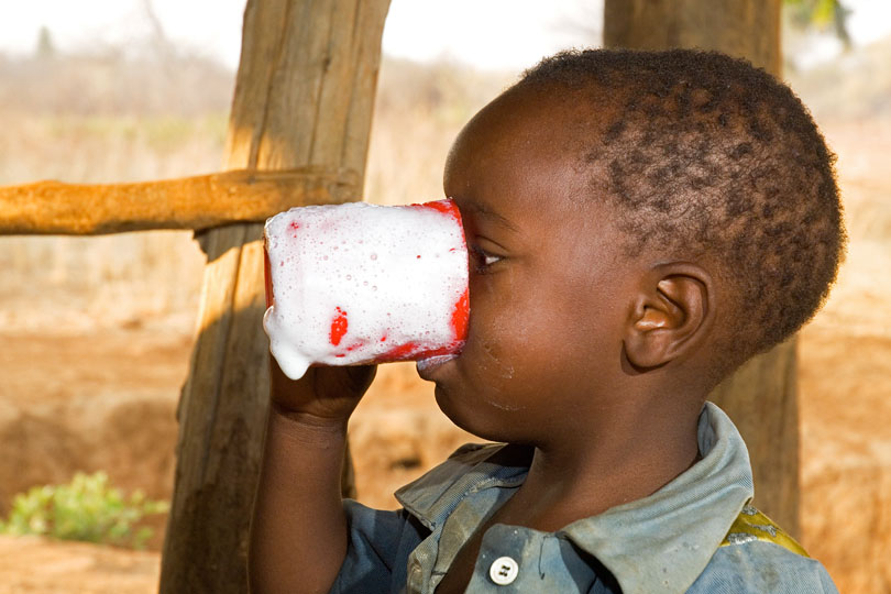 Dairy milk enhances child nutrition <p>in rural Zambia
