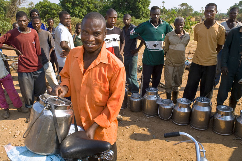 Bicycles are an important means of <p>transport to deliver the fresh milk