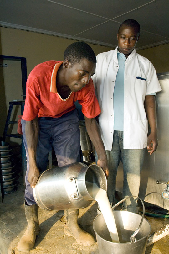 A technician records quantities and<p> checks the quality of the milk