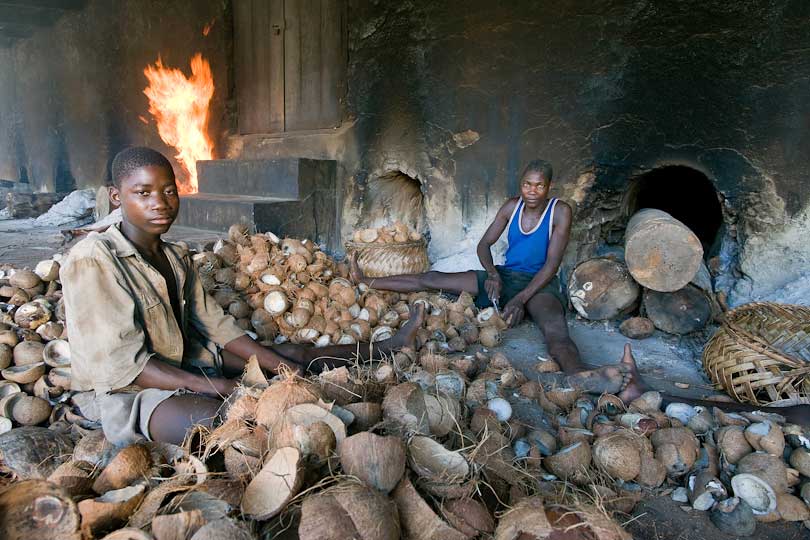 Boys remove the dried meat called copra from coconut shells,<p> Quelimane Mozambique