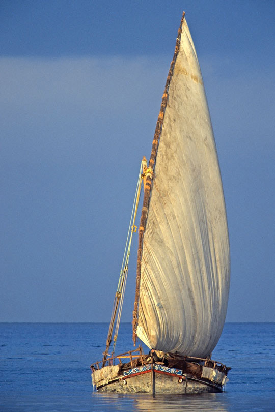 The dhow is a traditional sailing vessel<p> used to carry heavy items, like fruit, <p>spices or merchandise along the coasts